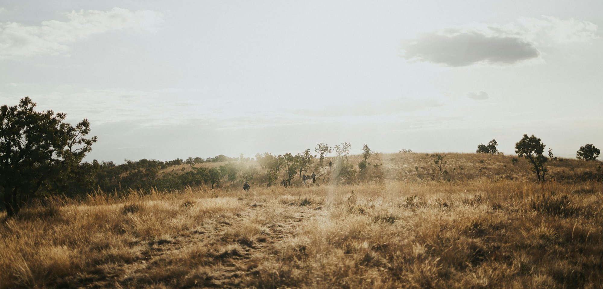 Dry bushveld grassland under a hazy sky, dust hanging in the afternoon light.